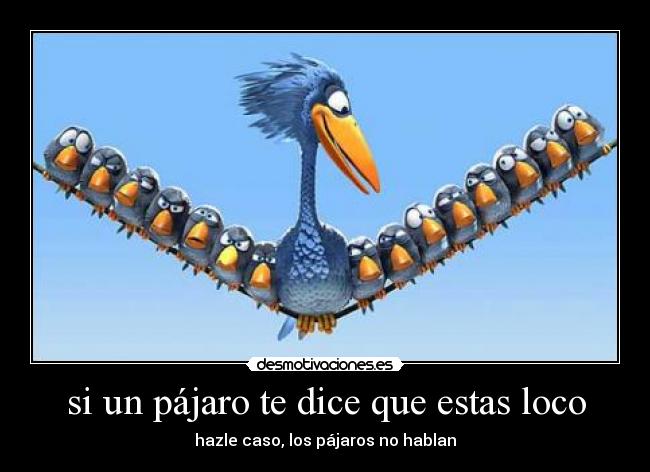 carteles loco pajaros hablar desmotivaciones