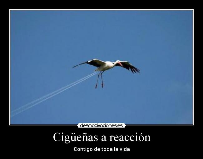 carteles ciguenas reaccion encargho express bebes contigo toda vida ciguenas desmotivaciones