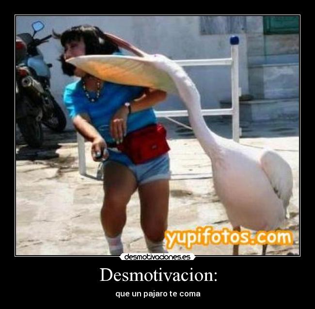 Desmotivacion: - 