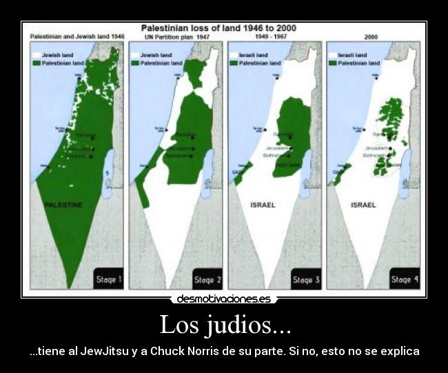 Los judios... - ...tiene al JewJitsu y a Chuck Norris de su parte. Si no, esto no se explica