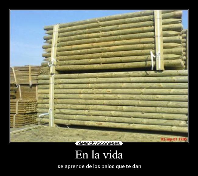 En la vida - se aprende de los palos que te dan