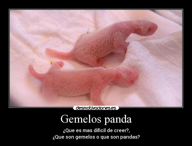 carteles desmotivaciones