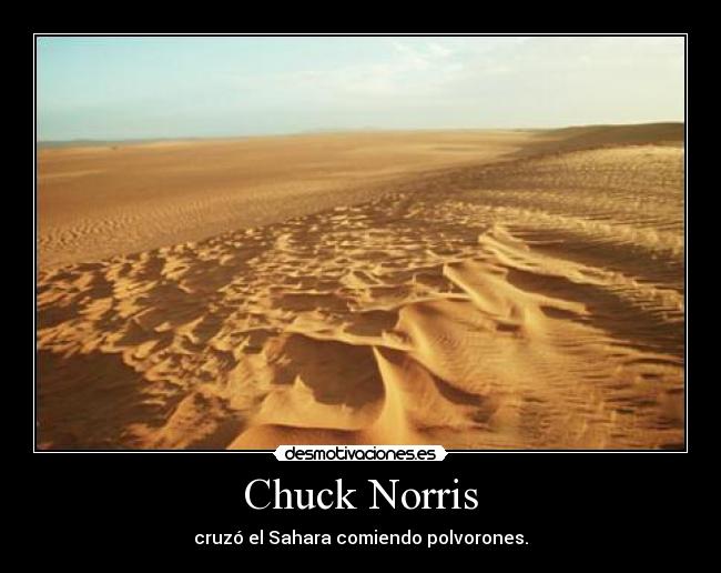 Chuck Norris -
