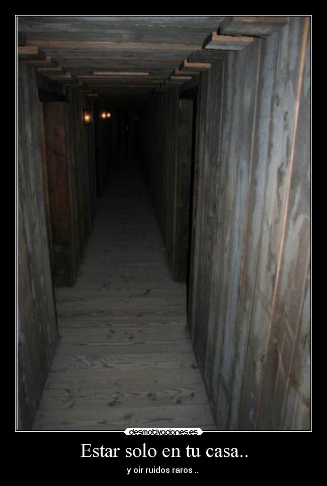 carteles casa ruidos raros miedo solo casa desmotivaciones