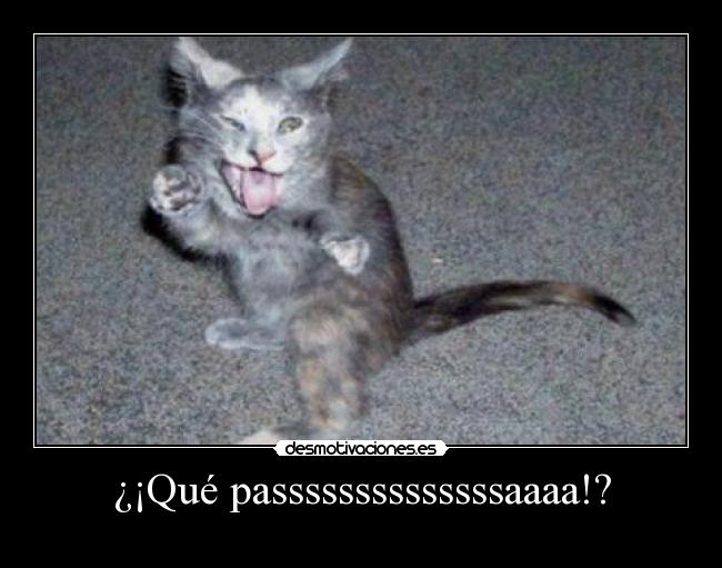 ¿¡Qué passssssssssssssaaaa!? -