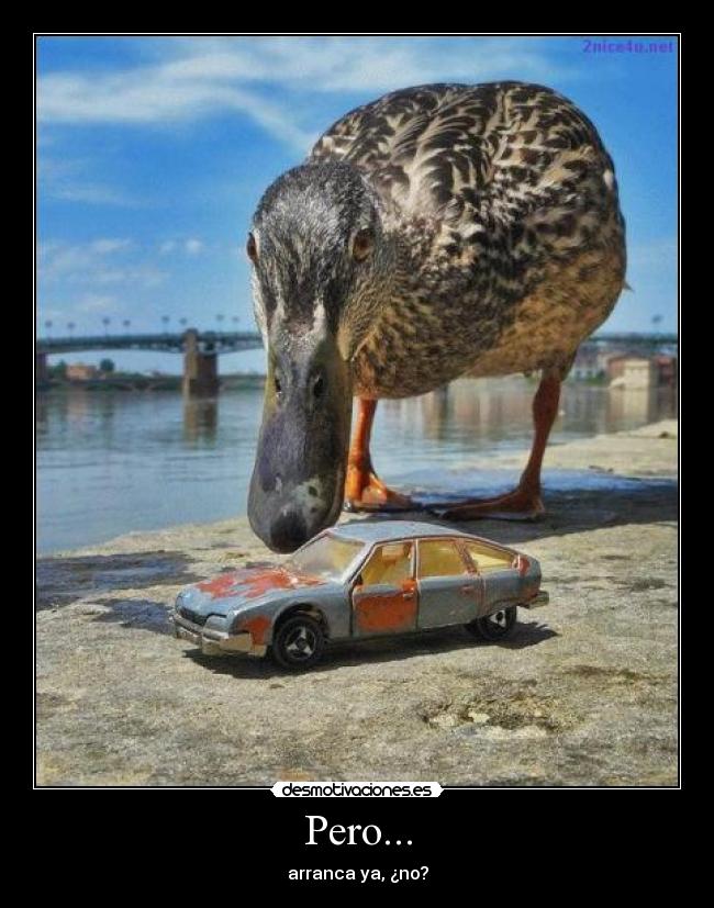 Pero... - arranca ya, ¿no?