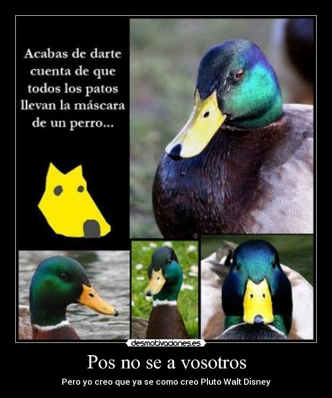 carteles pato desmotivaciones