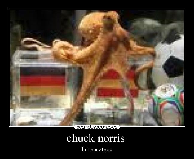 chuck norris  - 