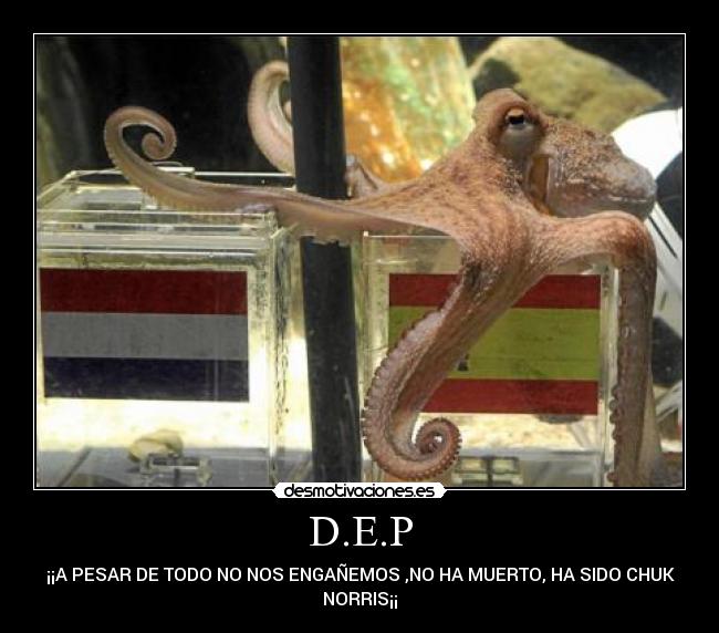 D.E.P - ¡¡A PESAR DE TODO NO NOS ENGAÑEMOS ,NO HA MUERTO, HA SIDO CHUK
NORRIS¡¡