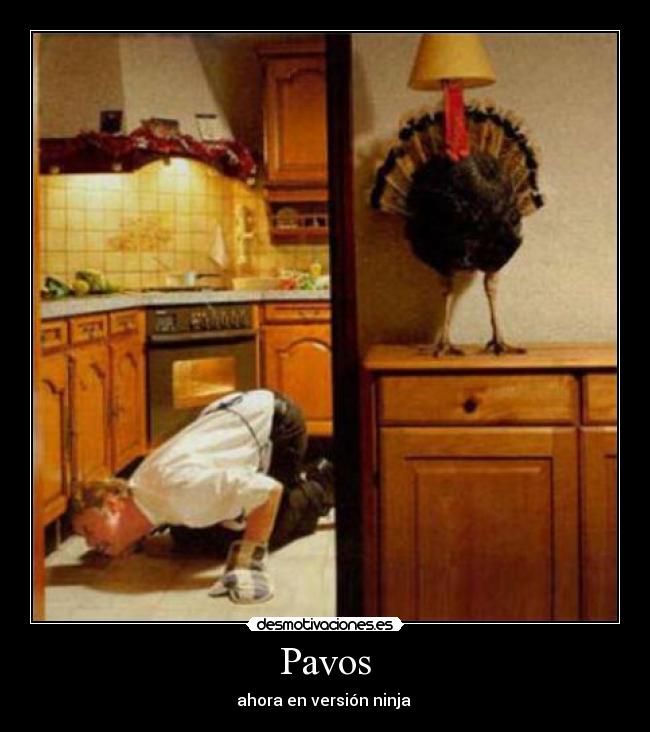 carteles pavo navidad desmotivaciones