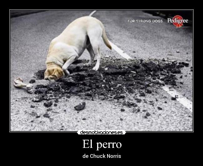 El perro -