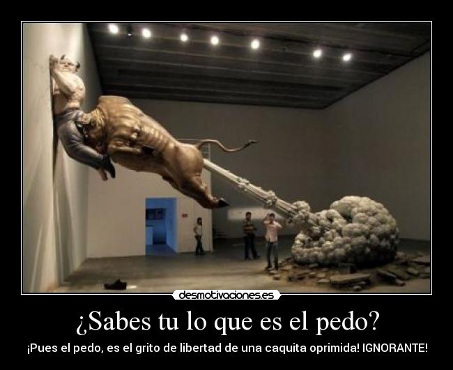¿Sabes tu lo que es el pedo? - ¡Pues el pedo, es el grito de libertad de una caquita oprimida! IGNORANTE!