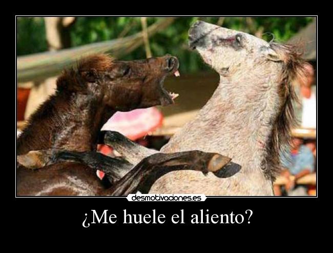 ¿Me huele el aliento? -