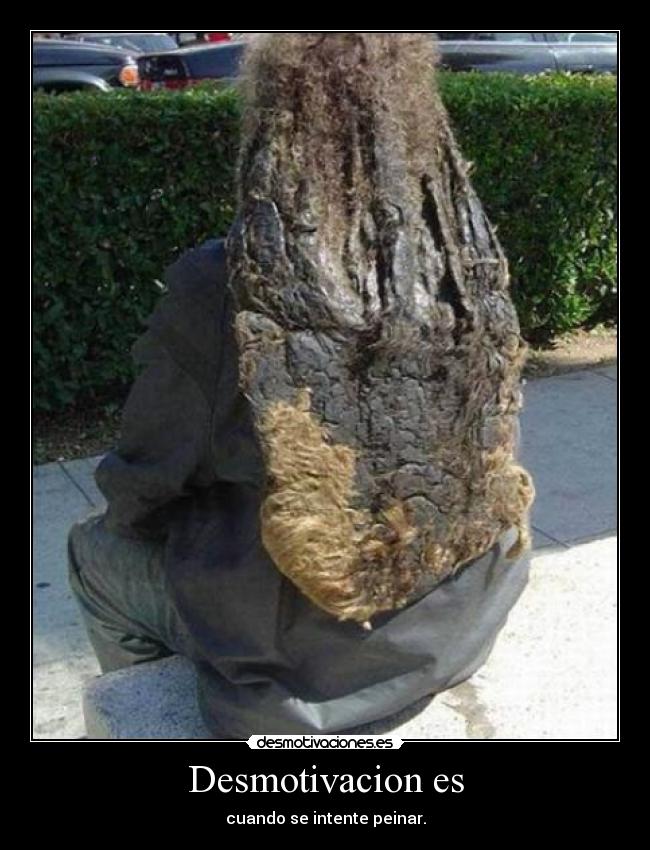 Desmotivacion es - cuando se intente peinar.
