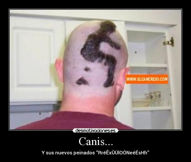 Canis... -