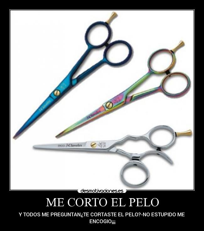 carteles preguntas estupidas desmotivaciones