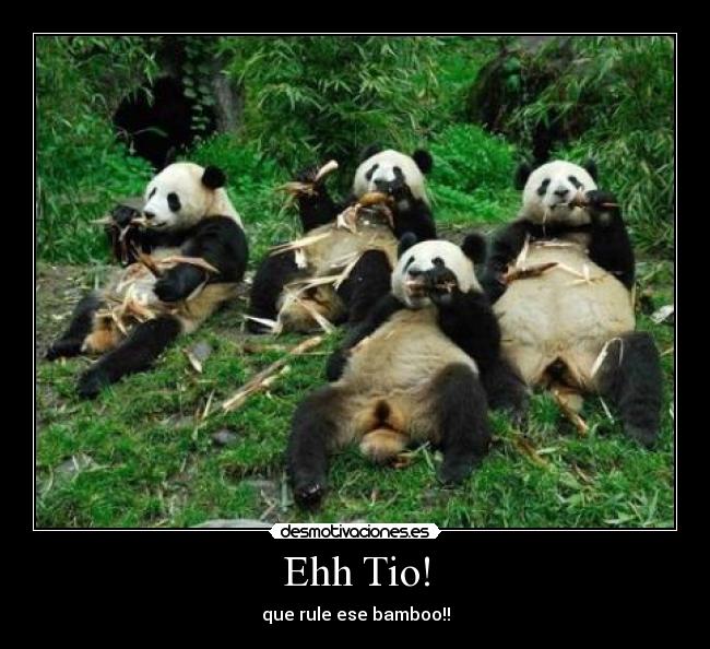 Ehh Tio! - que rule ese bamboo!!