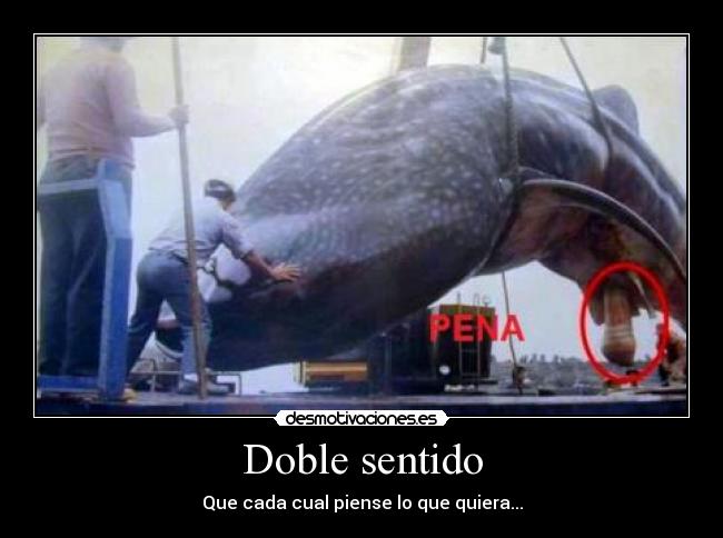 Doble sentido - 