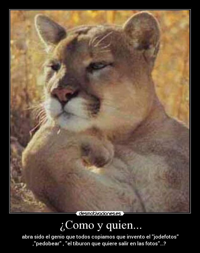 ¿Como y quien... - abra sido el genio que todos copiamos que invento el jodefotos
,pedobear , el tiburon que quiere salir en las fotos...?