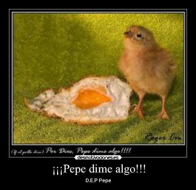 ¡¡¡Pepe dime algo!!! -