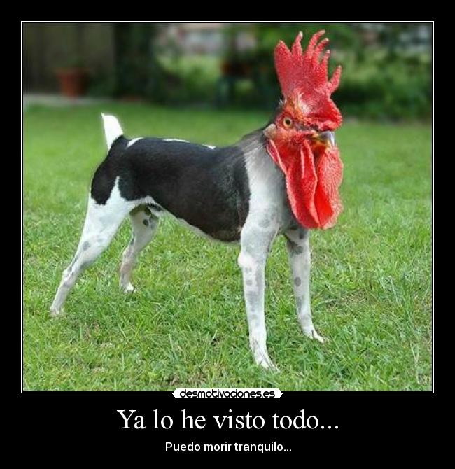 Ya lo he visto todo... - Puedo morir tranquilo...