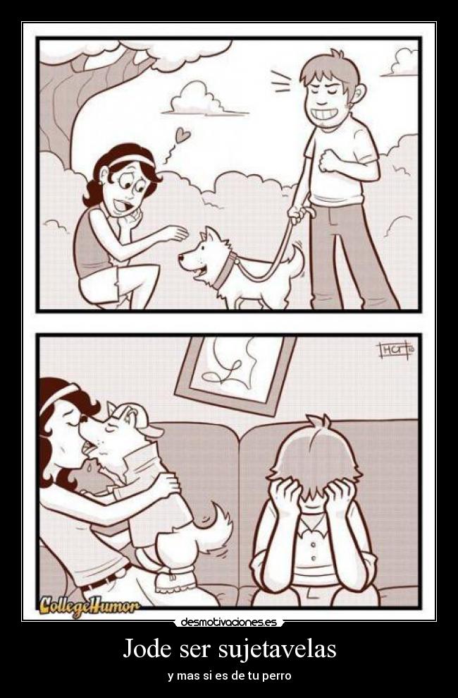 Jode ser sujetavelas - y mas si es de tu perro