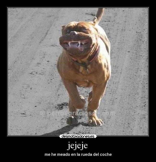 jejeje - me he meado en la rueda del coche