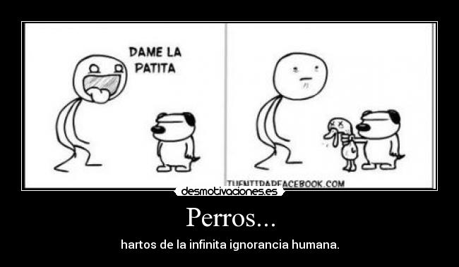 Perros... - hartos de la infinita ignorancia humana.