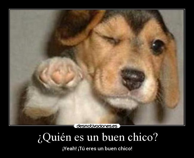 ¿Quién es un buen chico? - 