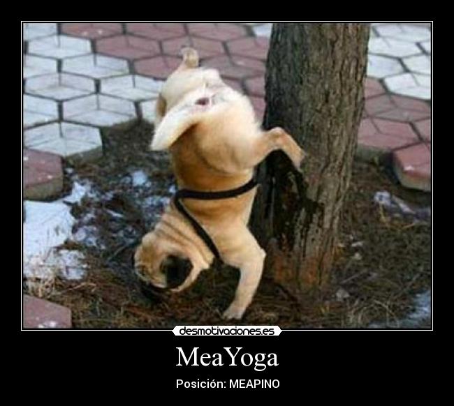 MeaYoga -