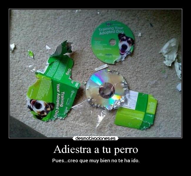 Adiestra a tu perro - Pues...creo que muy bien no te ha ido.