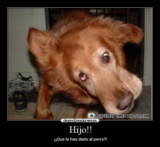 Hijo!! - 