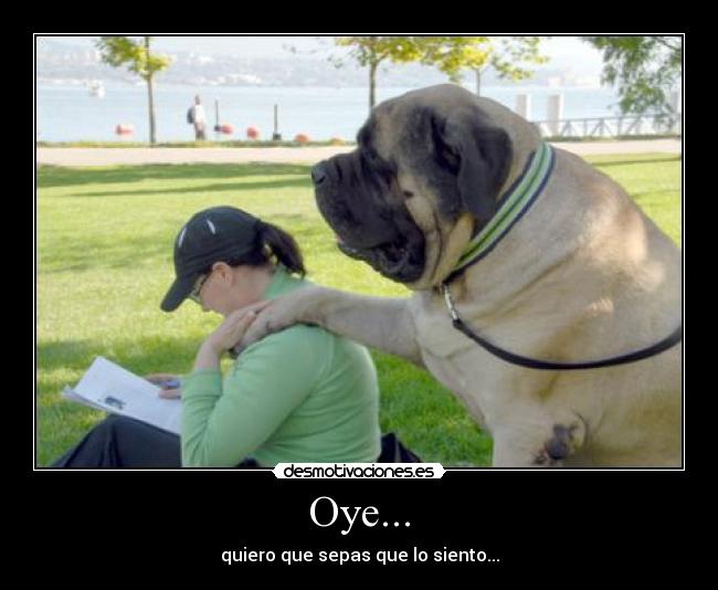 carteles oye desmotivaciones