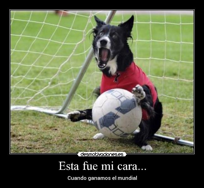 Esta fue mi cara... - 