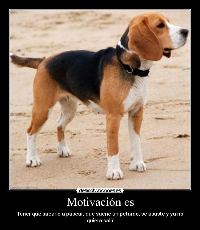 Motivación es - 