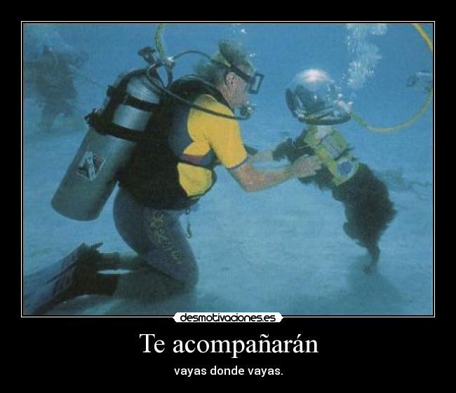 carteles desmotivaciones