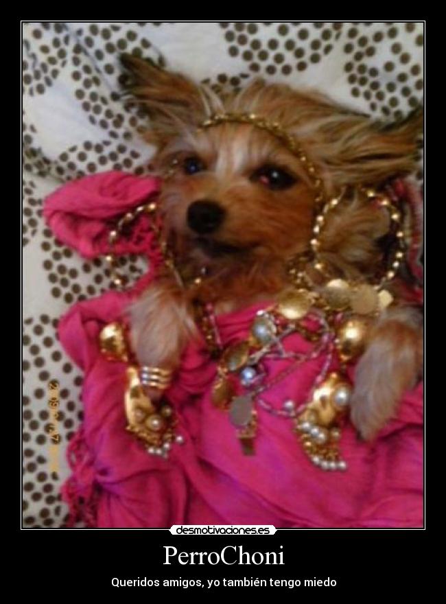 PerroChoni -