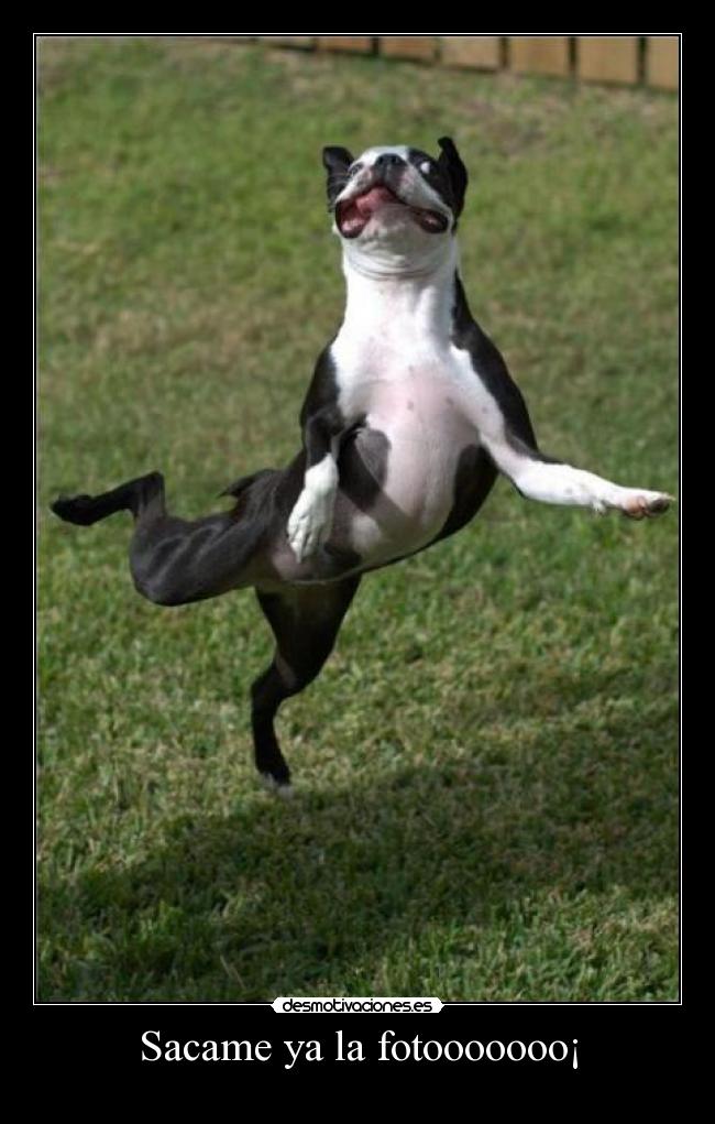 Sacame ya la fotooooooo¡ - 