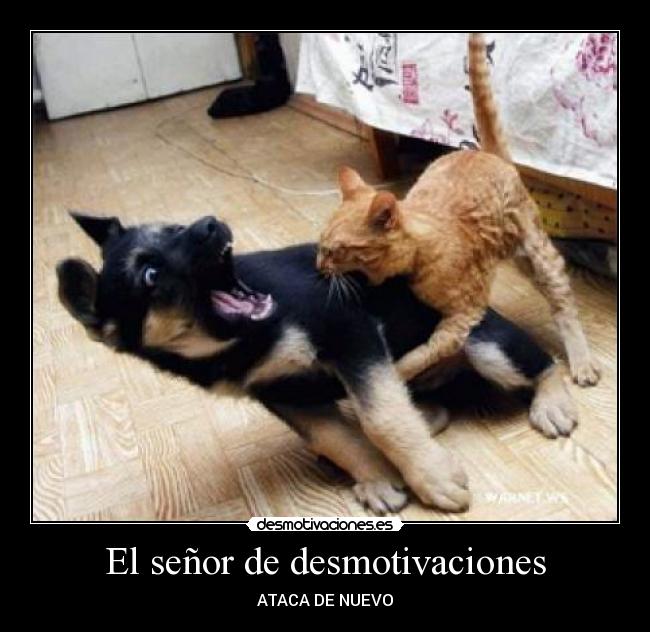 El señor de desmotivaciones - 
