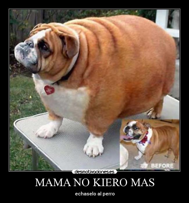 MAMA NO KIERO MAS - echaselo al perro