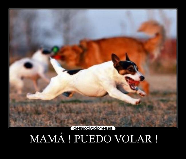 MAMÁ ! PUEDO VOLAR ! -