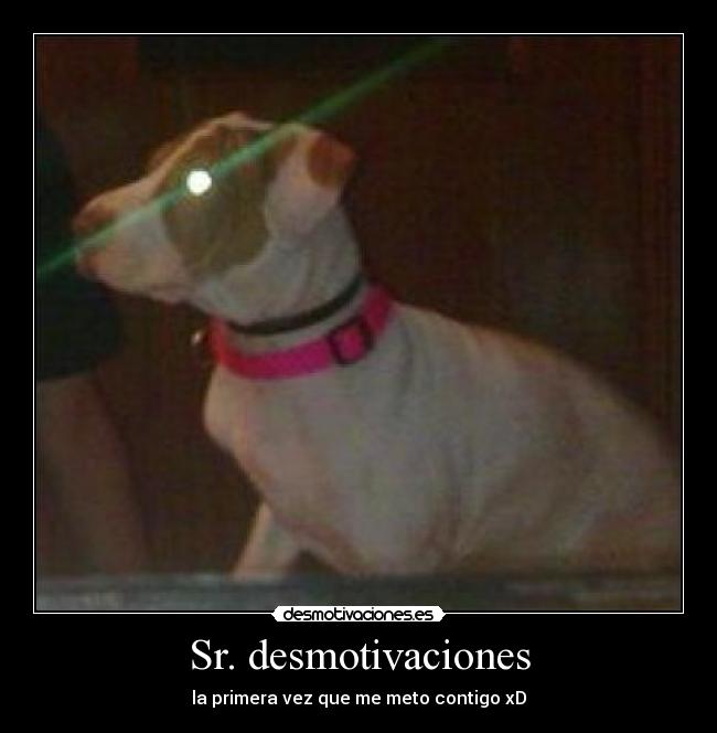 carteles desmotivaciones perro laser sr desmotivaciones desmotivaciones