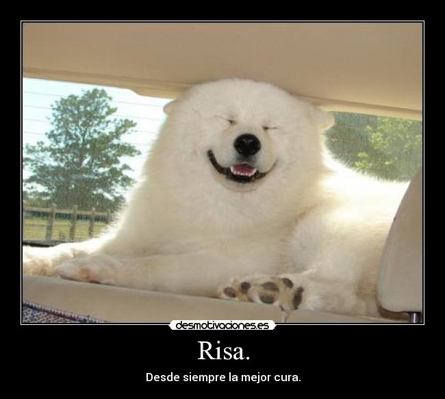 Risa. - Desde siempre la mejor cura.