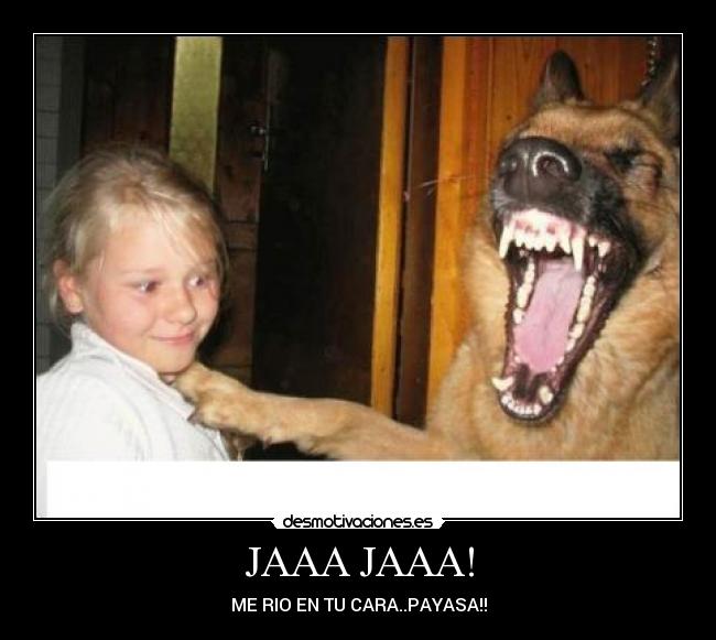 JAAA JAAA! - ME RIO EN TU CARA..PAYASA!!
