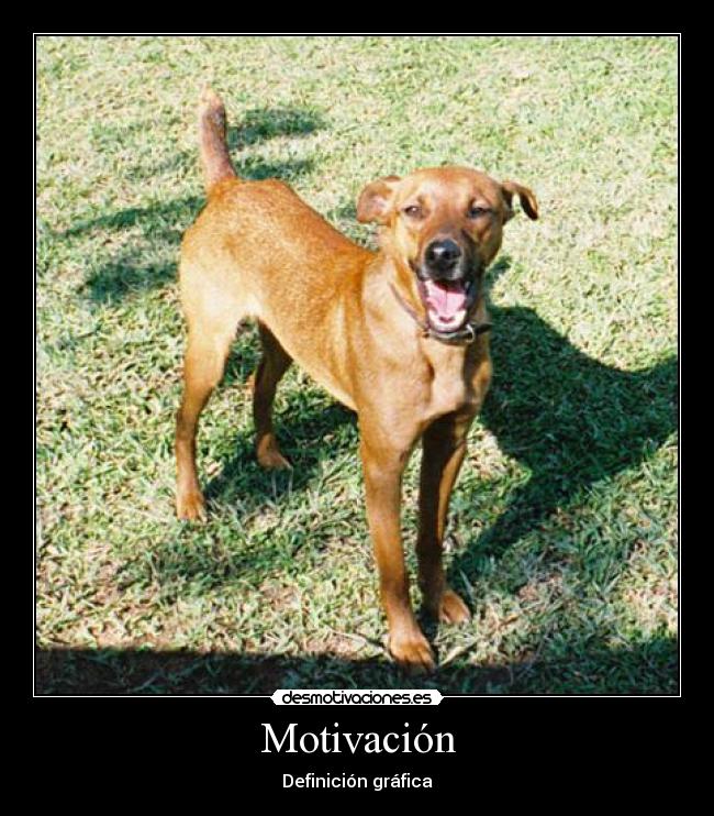 Motivación -