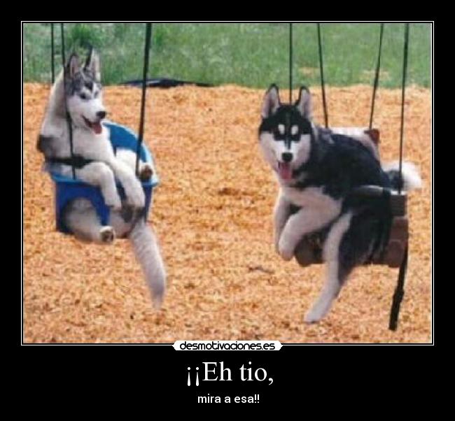 ¡¡Eh tio, - mira a esa!!