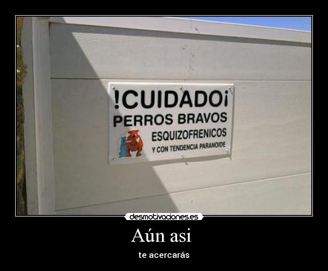 Aún asi  - 