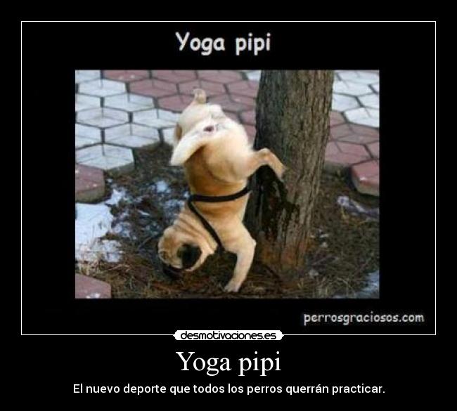 Yoga pipi -