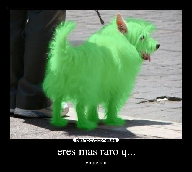 carteles perro verde desmotivaciones