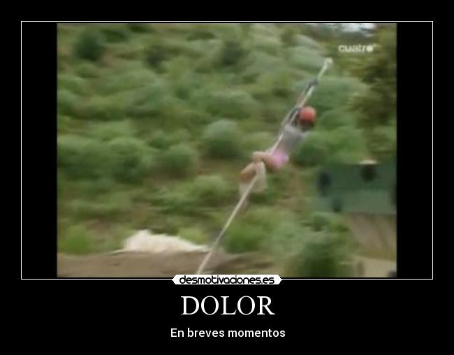 DOLOR - 